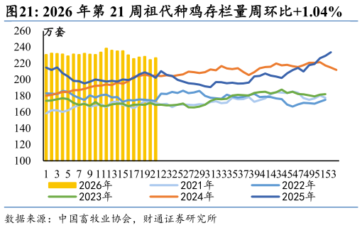 我想了解一下2026 年第 21 周祖代种鸡存栏量周环比1.04%?