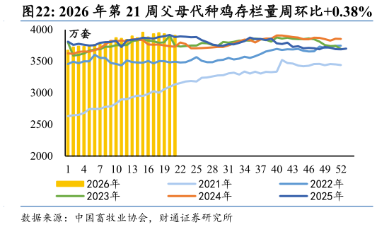 谁知道2026 年第 21 周父母代种鸡存栏量周环比0.38%?