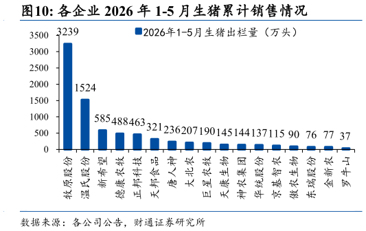 如何才能各企业 2026 年 1-5 月生猪累计销售情况?