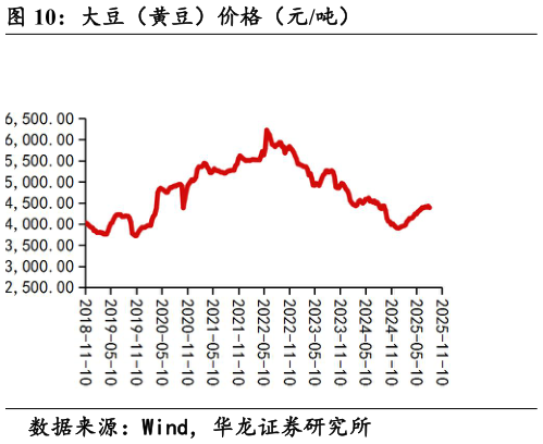 咨询大家大豆（黄豆）价格（元吨）