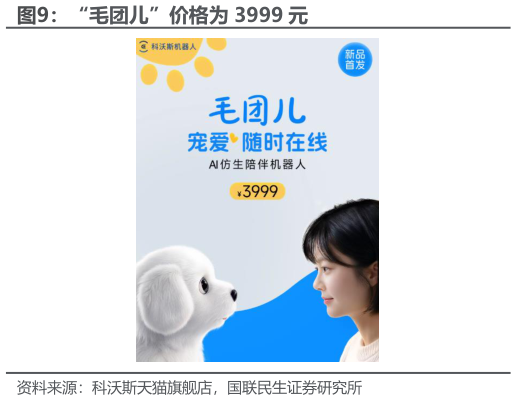 请问一下“毛团儿”价格为 3999 元?