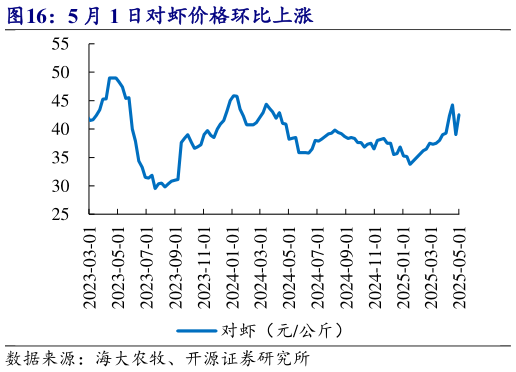 如何看待5 月 1 日对虾价格环比上涨?