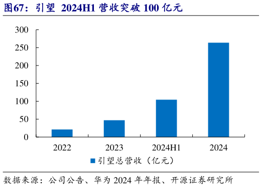 如何了解引望  2024H1 营收突破 100 亿元