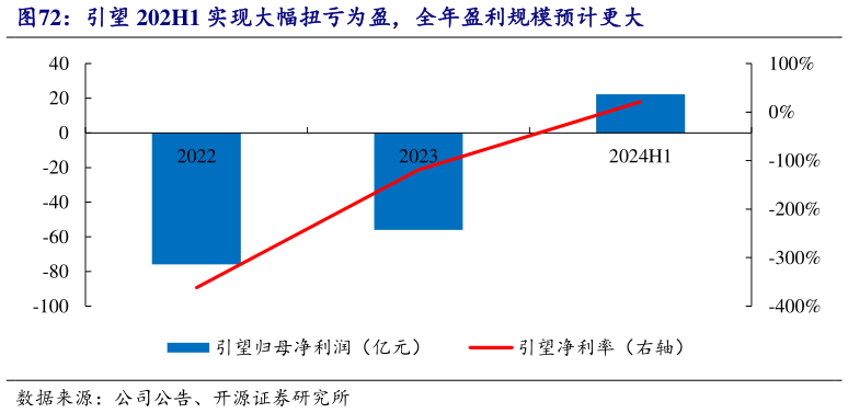 怎样理解引望 202H1 实现大幅扭亏为盈，全年盈利规模预计更大