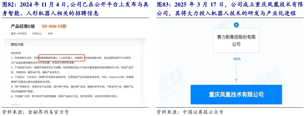 怎样理解2025 年 3 月 17 日，公司成立重庆凤凰技术有限