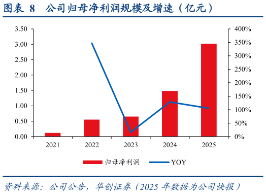 如何解释公司归母净利润规模及增速（亿元）?