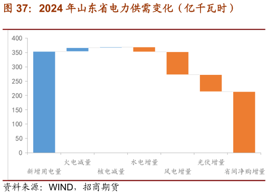 如何解释2024 年山东省电力供需变化（亿千瓦时）