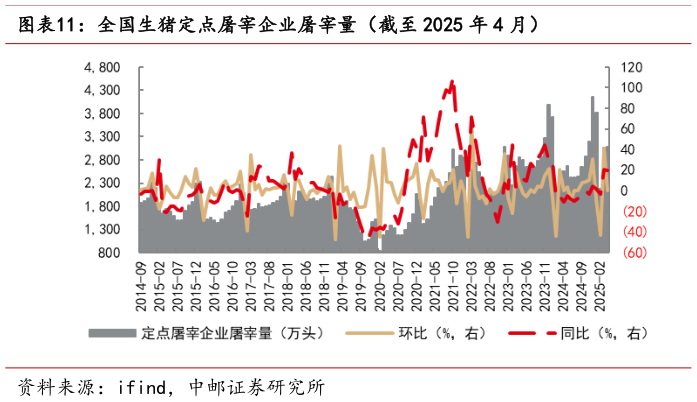 如何了解全国生猪定点屠宰企业屠宰量（截至 2025 年 4 月）?
