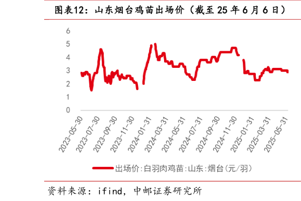 如何了解山东烟台鸡苗出场价（截至 25 年 6 月 6 日）  山东烟台毛鸡收购价（截至 25 年 6 月 6 日）?