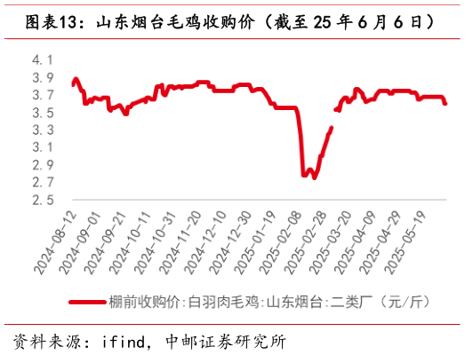 想关注一下山东烟台毛鸡收购价（截至 25 年 6 月 6 日）?