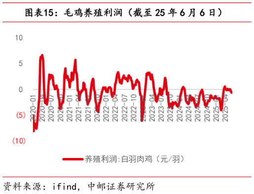 请问一下毛鸡养殖利润（截至 25 年 6 月 6 日）?