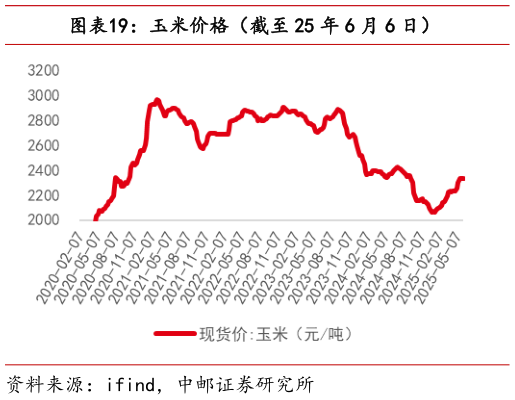 咨询大家玉米价格（截至 25 年 6 月 6 日）?