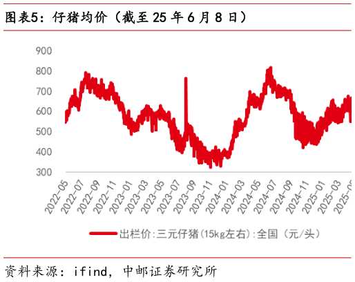 你知道仔猪均价（截至 25 年 6 月 8 日）?