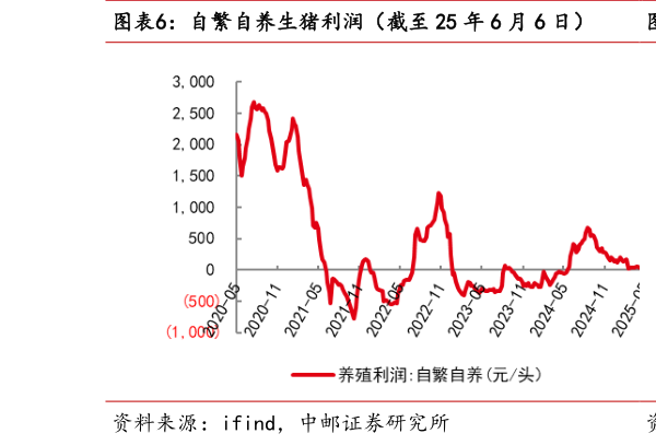 咨询下各位自繁自养生猪利润（截至 25 年 6 月 6 日）  外购仔猪养殖利润（截至 25 年 6 月 6 日）?
