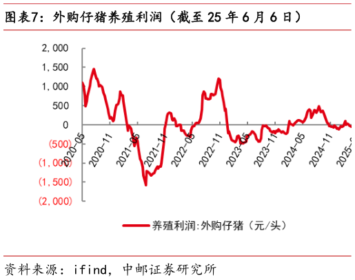 如何看待外购仔猪养殖利润（截至 25 年 6 月 6 日）?