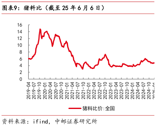 谁知道猪料比（截至 25 年 6 月 6 日）?