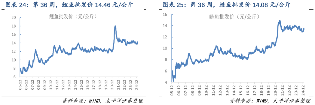 如何解释第 36 周，鲢鱼批发价 14.08 元公斤