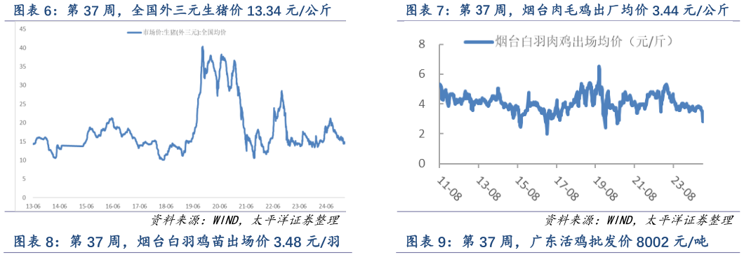 想关注一下第 37 周，全国外三元生猪价 13.34 元公斤 第 37 周，烟台肉毛鸡出厂均价 3.44 元公斤 第 37 周，烟台白羽鸡苗出场价 3.48 元羽