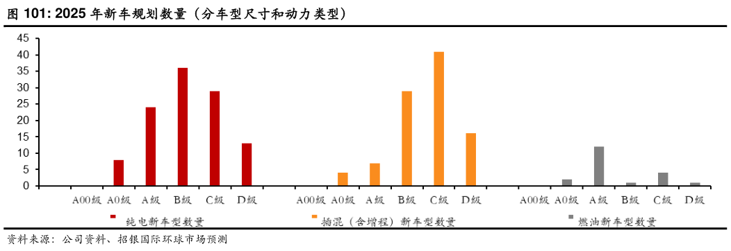 如何了解2025 年新车规划数量(分车型尺寸和动力类型)?