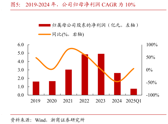 想问下各位网友2019-2024 年，公司归母净利润 CAGR 为 10%