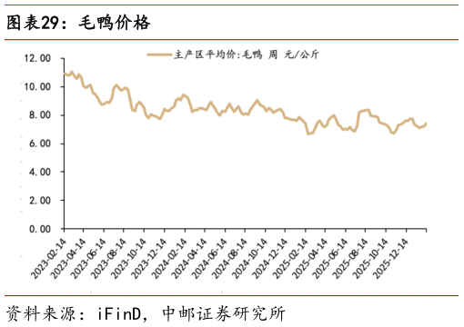 你知道毛鸭价格?