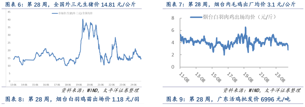 各位网友请教一下第 28 周,全国外三元生猪价 14.81 元公斤 第 28 周,烟台肉毛鸡出厂均价 3.1 元公斤?