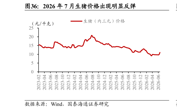如何了解2026 年 7 月生猪价格出现明显反弹