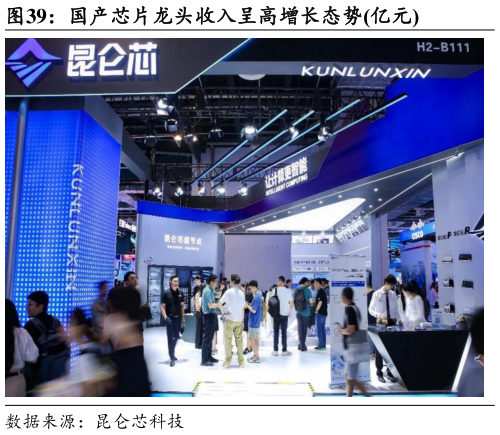 想问下各位网友国产芯片龙头收入呈高增长态势亿元