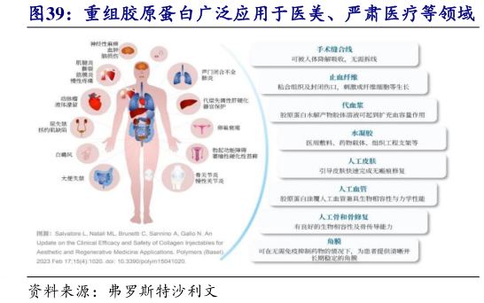 如何解释重组胶原蛋白广泛应用于医美、严肃医疗等领域?