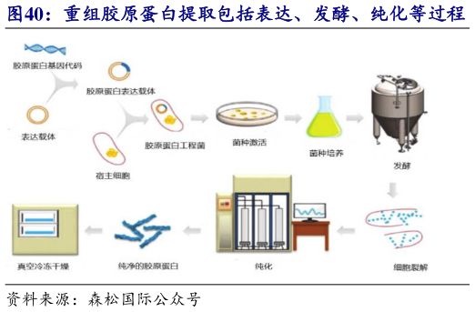 谁知道重组胶原蛋白提取包括表达、发酵、纯化等过程 森松国际提供重组胶原蛋白生产的系统解决方案?