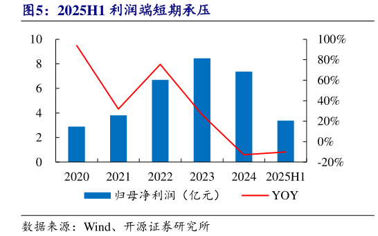 各位网友请教一下2025H1 利润端短期承压?