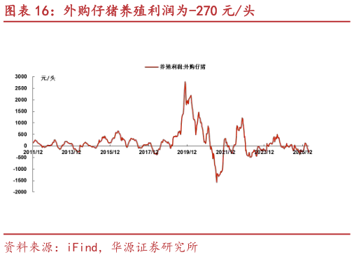 怎样理解外购仔猪养殖利润为-270 元头?
