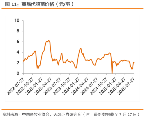 如何了解商品代鸡苗价格（元羽）