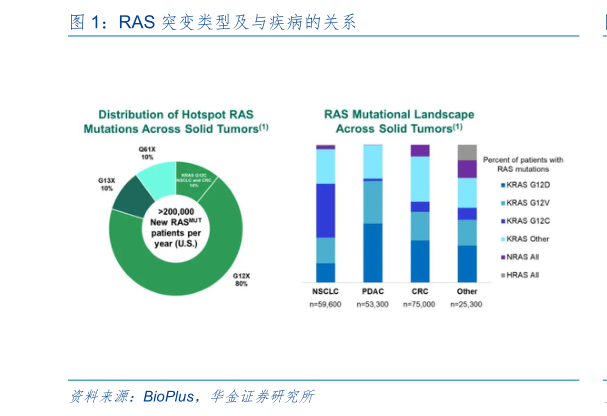 如何解释RAS 突变类型及与疾病的关系