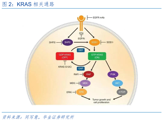 如何才能KRAS 相关通路