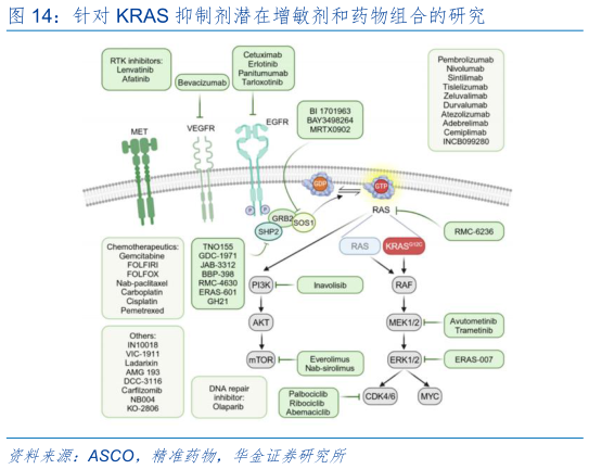 如何才能针对 KRAS 抑制剂潜在增敏剂和药物组合的研究