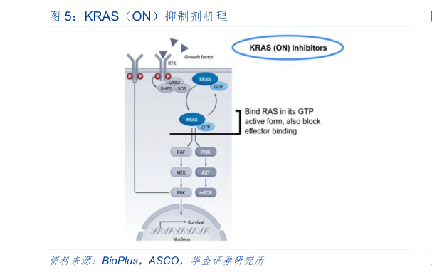 请问一下KRAS（ON）抑制剂机理