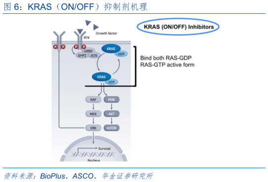 谁能回答KRAS（ONOFF）抑制剂机理