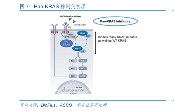 各位网友请教一下Pan-KRAS 抑制剂机理