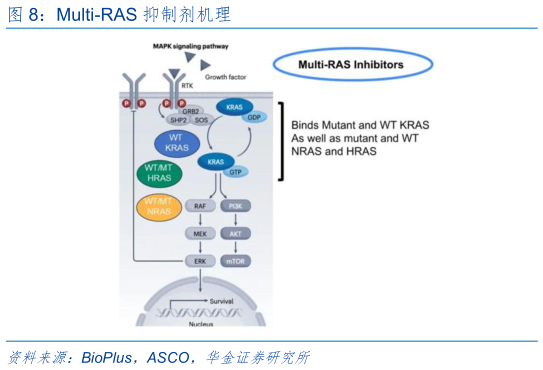 想问下各位网友Multi-RAS 抑制剂机理