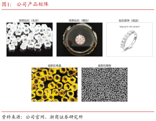 咨询大家公司产品矩阵