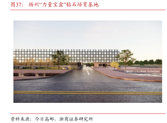 想问下各位网友扬州“力量宝盒”钻石培育基地