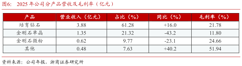 谁能回答2025 年公司分产品营收及毛利率（亿元）