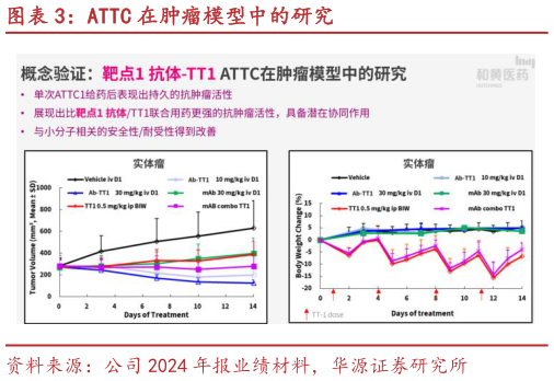 怎样理解ATTC 在肿瘤模型中的研究?
