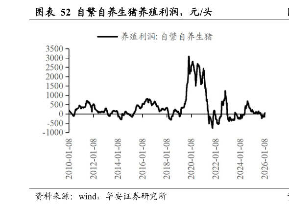 咨询大家自繁自养生猪养殖利润,元头?