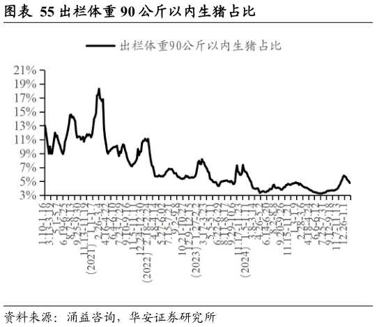 你知道出栏体重 90 公斤以内生猪占比?