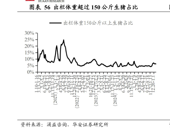 咨询下各位出栏体重超过 150 公斤生猪占比?