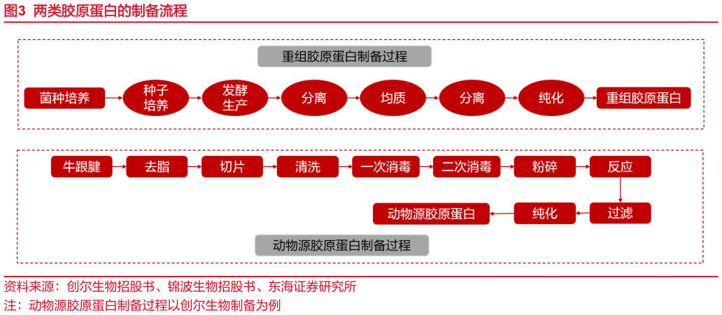 想关注一下两类胶原蛋白的制备流程?