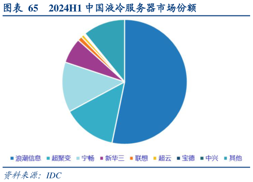 如何了解2024H1 中国液冷服务器市场份额