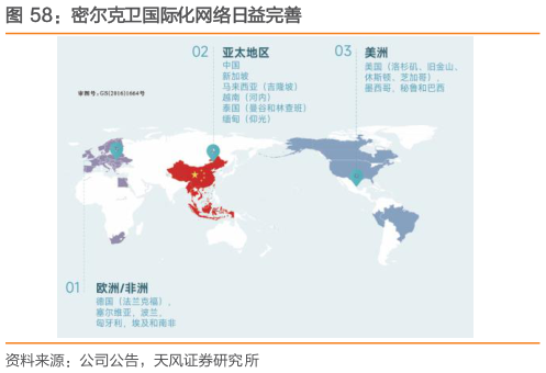如何解释密尔克卫国际化网络日益完善